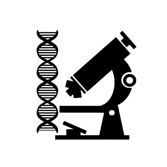 Logo 19